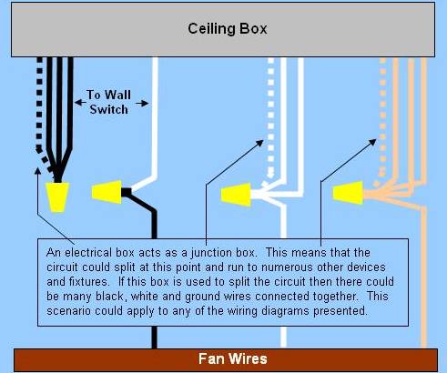 5 Wire Ceiling Fan Wiring Diagram | Shelly Lighting